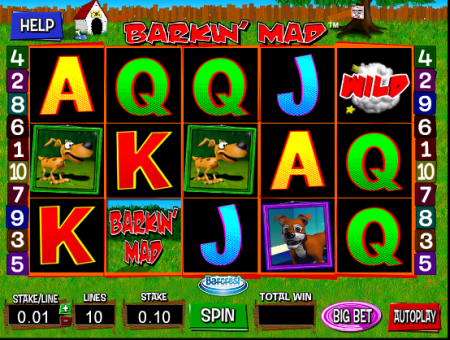 Card image cap